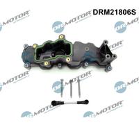 Dr.Motore Automotive DRM21806S Modulo Collettore Aspirazione Dx per Audi A4 VW