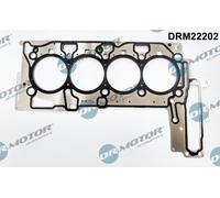 Dr.Motor Automotive DRM22202 Guarnizione, Testata per ALPINA,BMW