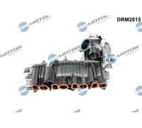 Dr.Motor Automotive DRM2815 Modulo collettore aspirazione per BMW