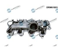 Dr.Motor Automotive DRM61803 Modulo collettore aspirazione per CITROËN,FIAT,FORD