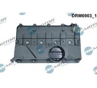 Dr.Motor Automotive DRM6903 Copritestata per CITROËN,FORD,PEUGEOT