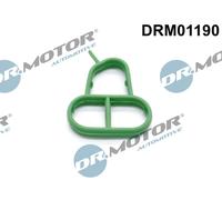 Dr. Motor Automotive Guarnizione Alloggiamento Filtro Olio per . Audi A6 2.4 3.2