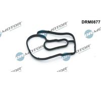 DR.MOTOR AUTOMOTIVE Guarnizione Carter filtro olio DRM0877 interno