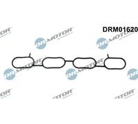 Dr.Motor Automotive Guarnizione Collectore D'Aria Per Suzuki Swift IV 1.2 Splash