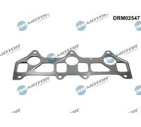 Dr. Motor Automotive Guarnizione Collettore Aspirazione per Ford Ranger 2.5