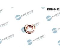 Dr. Motor Automotive Guarnizione Iniettore Per Mitsubishi Outlander II 2.0