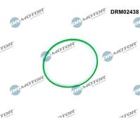 DR.MOTOR AUTOMOTIVE Guarnizione manicotto della valvola a farfalla DRM02438