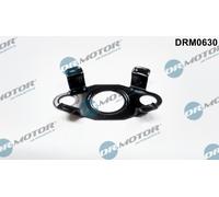 Dr. Motor Automotive Guarnizione Ölauslass Per Ford Transit Connect 1.8