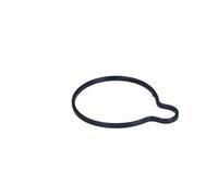 DR.MOTOR AUTOMOTIVE Guarnizione Pompa depressione DRM0866
