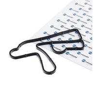 DR.MOTOR AUTOMOTIVE Guarnizione Radiatore olio DRM0441 per OPEL ASTRA J