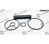 Guarnizione radiatore olio DRM0571 Dr.Motor Automotive per CITROËN PEUGEOT FORD