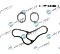 DR.MOTOR AUTOMOTIVE Guarnizione Radiatore olio DRM161004R Carter filtro olio