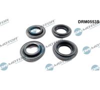 Dr. Motor Automotive Guarnizione Supporto Ugelli per Nissan Primera 1.6 16V