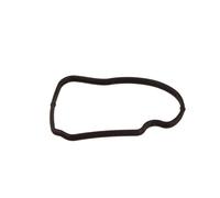 Dr. Motor Automotive Guarnizione Termostato Per Mercedes-Benz E-Class