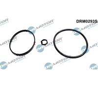 Dr. Motor Automotive Guarnizioni Radiatore Olio per Peugeot 206 Cc 2D 1.6 16V