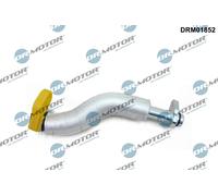 Dr. Motor Automotive Guida per Olio Compressore Mini R56 COOPER S John R59 R57