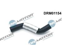 Dr. Motor Automotive Guida per Olio Compressore per Citroën C4 Picasso I UD_ 1.6