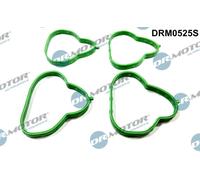Dr. Motor Automotive Kit Di Guarnizioni Aspirazione Per Mazda 2 DE DH 3 1.3 DE