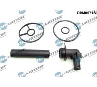 Kit guarnizioni, Radiatore olio compatibile con CITROËN FIAT FORD PEUGEOT
