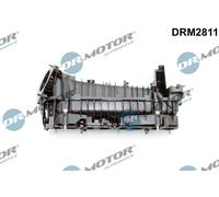 Dr. Motor Automotive Modulo Collettore Aspirazione per BMW X3 F25 Xdrive20d -