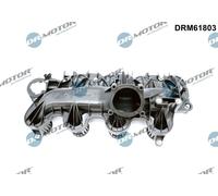 Dr. Motor Automotive Modulo Collettore Aspirazione per Ford, WA6 2.2 TDCI Galaxy