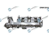 Dr. Motor Automotive Modulo Collettore Aspirazione per Mercedes-Benz Classe B C