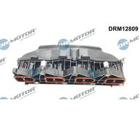 Collettore di aspirazione DRM12809 Dr.Motor Automotive per MERCEDES-BENZ