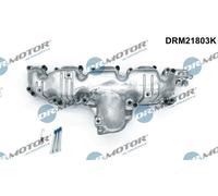 Dr. Motor Automotive Modulo Collettore Aspirazione per Per VW Tiguan 5N_2.0