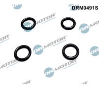 Dr. Motor Automotive O-Ring Supporto Iniettore Per Mitsubishi Lancer VII 1.6 EVO