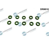 Dr. Motor Automotive O-Ring Supporto Iniettore Per VW Tiguan 2.0 TDI 4MOTION