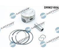 Dr. Motor Automotive Pistone Per VW Audi Golf VI 5K1 2.0 GTI 1K1 1F7 1F8 517