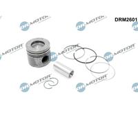 Dr. Motor Automotive Pistone Adatto A per BMW 5er Touring 525d 530d X5