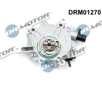Pompa a vuoto meccanico Pompa rotativa a palette DRM01270 Dr.Motor Automotive