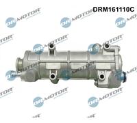 Radiatore gas di scarico DRM161110C Dr.Motor Automotive per CITROËN PEUGEOT FIAT
