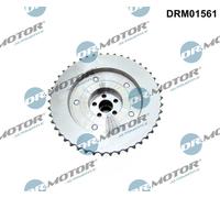 Dr. Motor Automotive Regolatore Dell'Albero a Camme Lato Uscita per Opel Gt