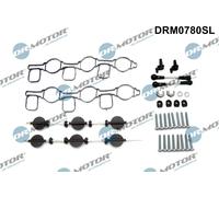 Dr. Motor Automotive Riparazione Modulo Collettore Aspirazione per Audi A6