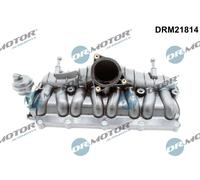 Dr.Motor Automotive Saugrohrmodul Per VW Touran 1T1 1T2 2.0 TDI Passat Variant