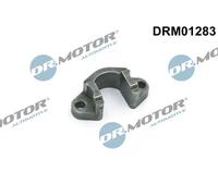 Dr. Motor Automotive Supporto Iniettore Per BMW 3er Touring 320d 318d 5er