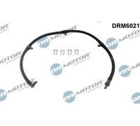Dr. Motor Automotive Tubo Leckkraftstoff per Ford Ranger Esso Et 2.5 TDCI