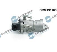Dr. Motor Automotive Valvola EGR per Toyota Rav 4 II CLA2_ XA2_ ZCA2_ ACA2_