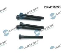 Dr.Motor Automotive Vite Supporto Iniettori DRM01063S per VW, 5 Pezzi