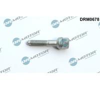 Dr. Motor Automotive Vite Supporto Iniettori Per Ford Fiesta V JH JD