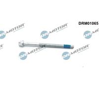 Dr. Motor Automotive Vite Supporto Iniettori Per Mercedes-Benz