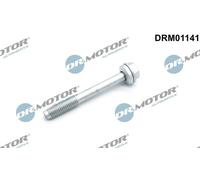 Dr. Motor Automotive Vite Supporto Iniettori Per Opel Astra H Caravan