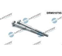 Dr. Motor Automotive Vite Supporto Iniettori Per VW Passat Variant 3G5