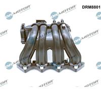 Dr.Motor Modulo Di Aspirazione Automotive Adatto Per Hyundai Accent II 1.3 1.5