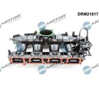 Dr. Motor Modulo Di Aspirazione Per VW Golf VI 5K1 2.0 GTI 1.8 TSI Tiguan 5N