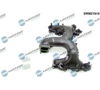 Dr.Motor Modulo Di Aspirazione Per VW Touareg 7P5 3.0 V6 TDI Audi Q5 8RB SQ5