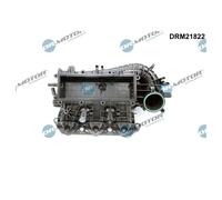 Dr.Motore Automotive DRM21822 Modulo Collettore Aspirazione per Skoda Fabia III