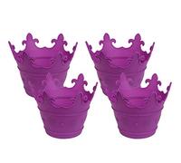 Dr. Oetker 1275 kroenchen Form, Silicone, Argento, 5 x 5 x 2 cm